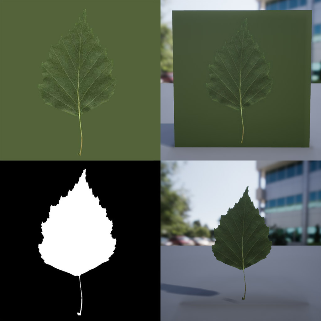 leaf material example